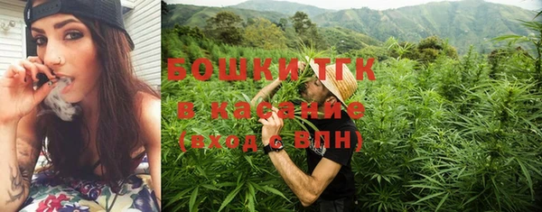 крисы Михайловск