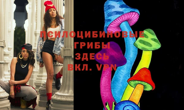 стаф Михайловка