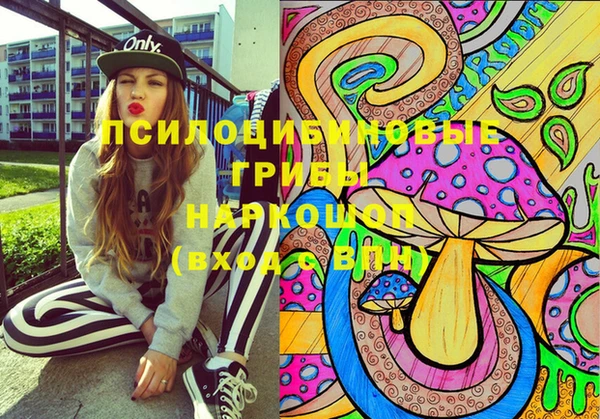 экстази Медвежьегорск