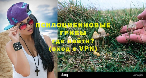 метадон Мегион