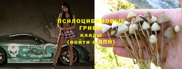 стаф Михайловка
