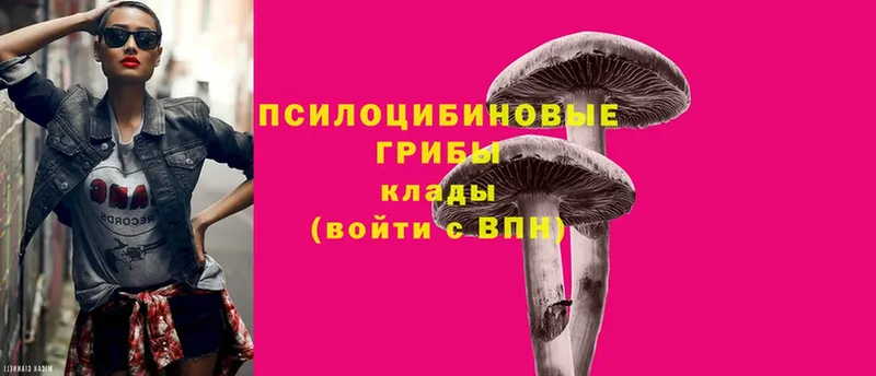 Псилоцибиновые грибы Magic Shrooms  даркнет сайт  Касли 